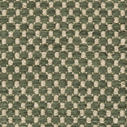 Ecrins Texture Fabric by Brunschwig & Fils in Avocado