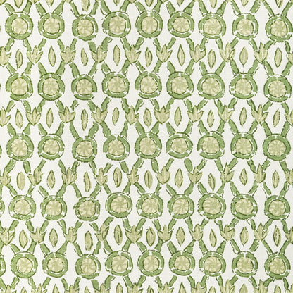 Galon Print Fabric by Brunschwig & Fils in Leaf
