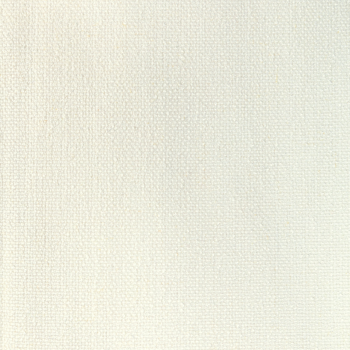 Rospico Plain Fabric by Brunschwig & Fils in Ivory