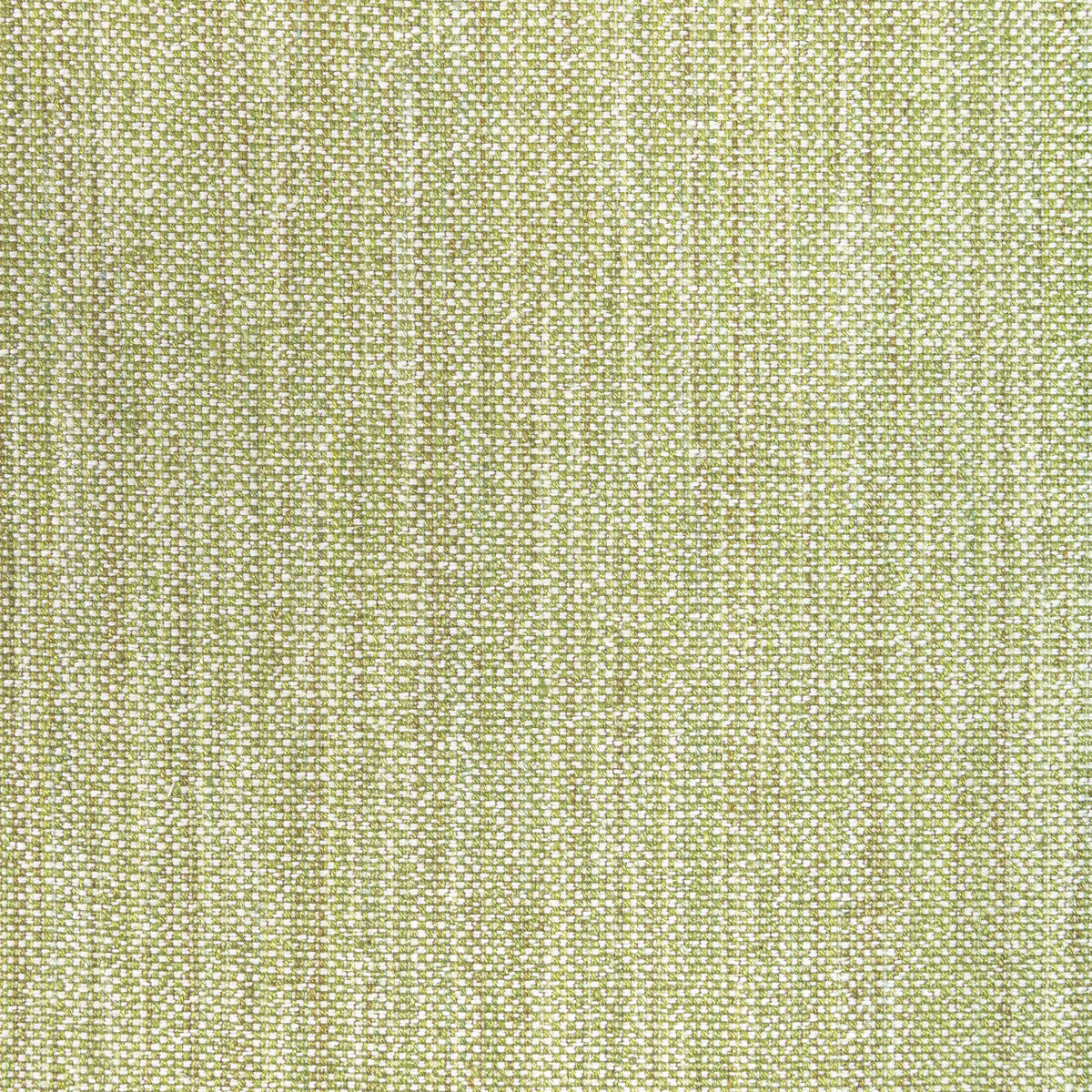 Rospico Plain Fabric by Brunschwig & Fils in Leaf