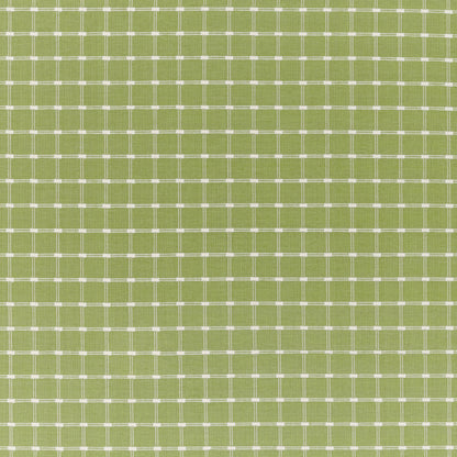 Lison Check Fabric by Brunschwig & Fils in Leaf