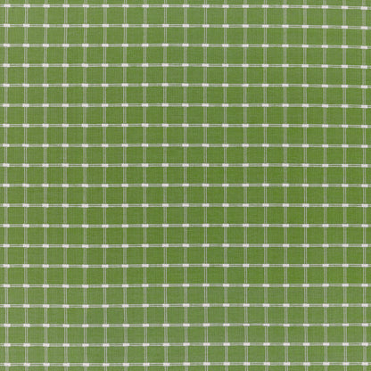 Lison Check Fabric by Brunschwig & Fils in Green