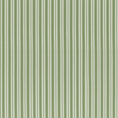 Selune Stripe Fabric by Brunschwig & Fils in Green
