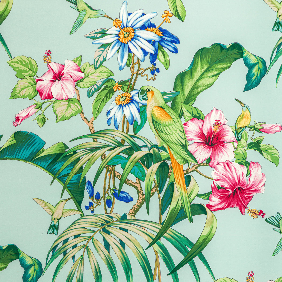 Anima Print Fabric by Brunschwig & Fils in Aqua