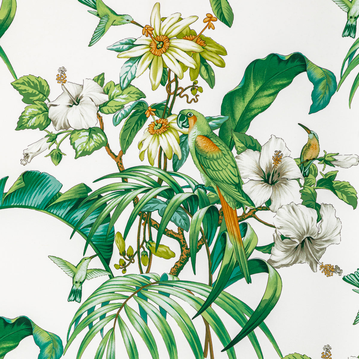 Anima Print Fabric by Brunschwig & Fils in Leaf
