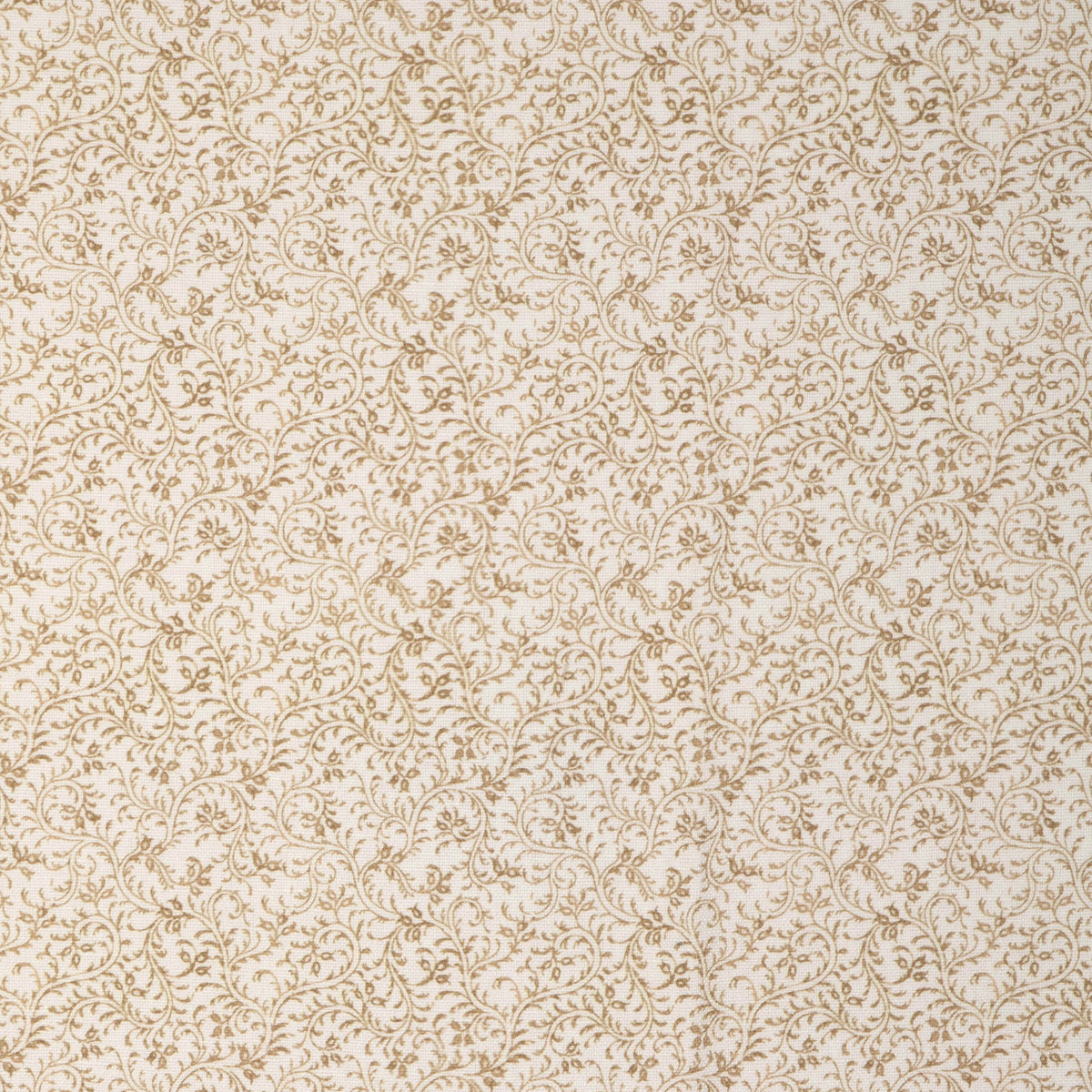 Anduze Print Fabric by Brunschwig & Fils in Natural