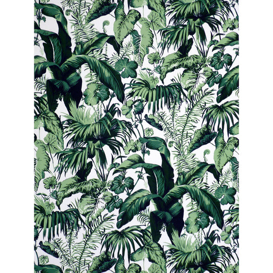 Feuillage Ii Fabric by Brunschwig & Fils in Blanc