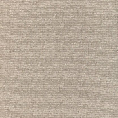 Carnot Plain Fabric by Brunschwig & Fils in Pebble