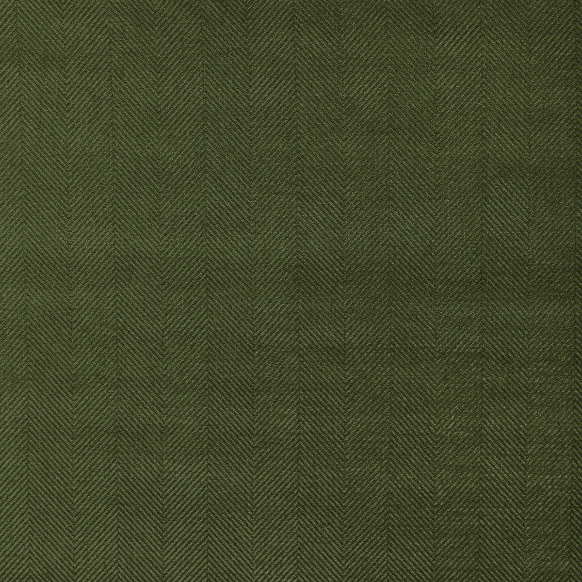 Rhone Weave Fabric by Brunschwig & Fils in Leaf