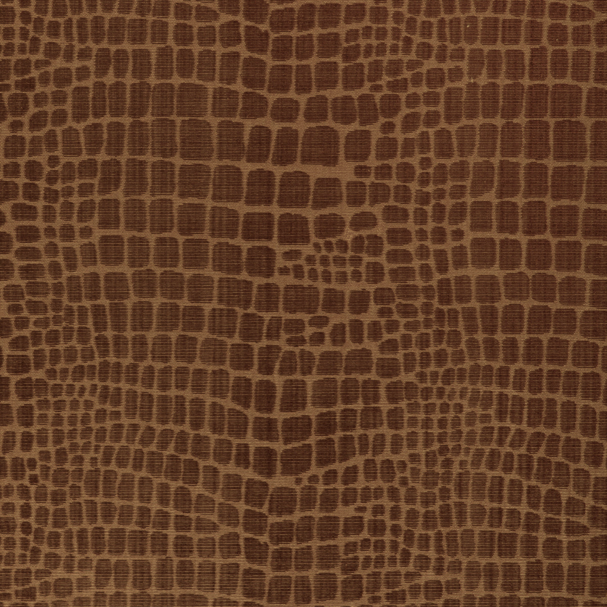 Croc Velvet Fabric by Brunschwig & Fils in Amber
