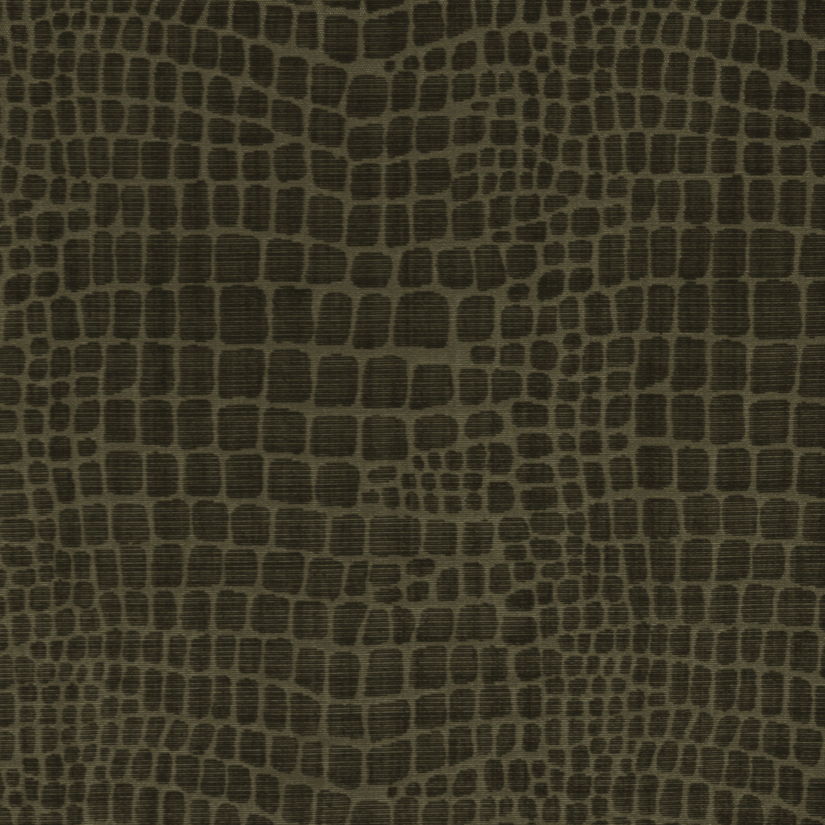 Croc Velvet Fabric by Brunschwig & Fils in Peridot