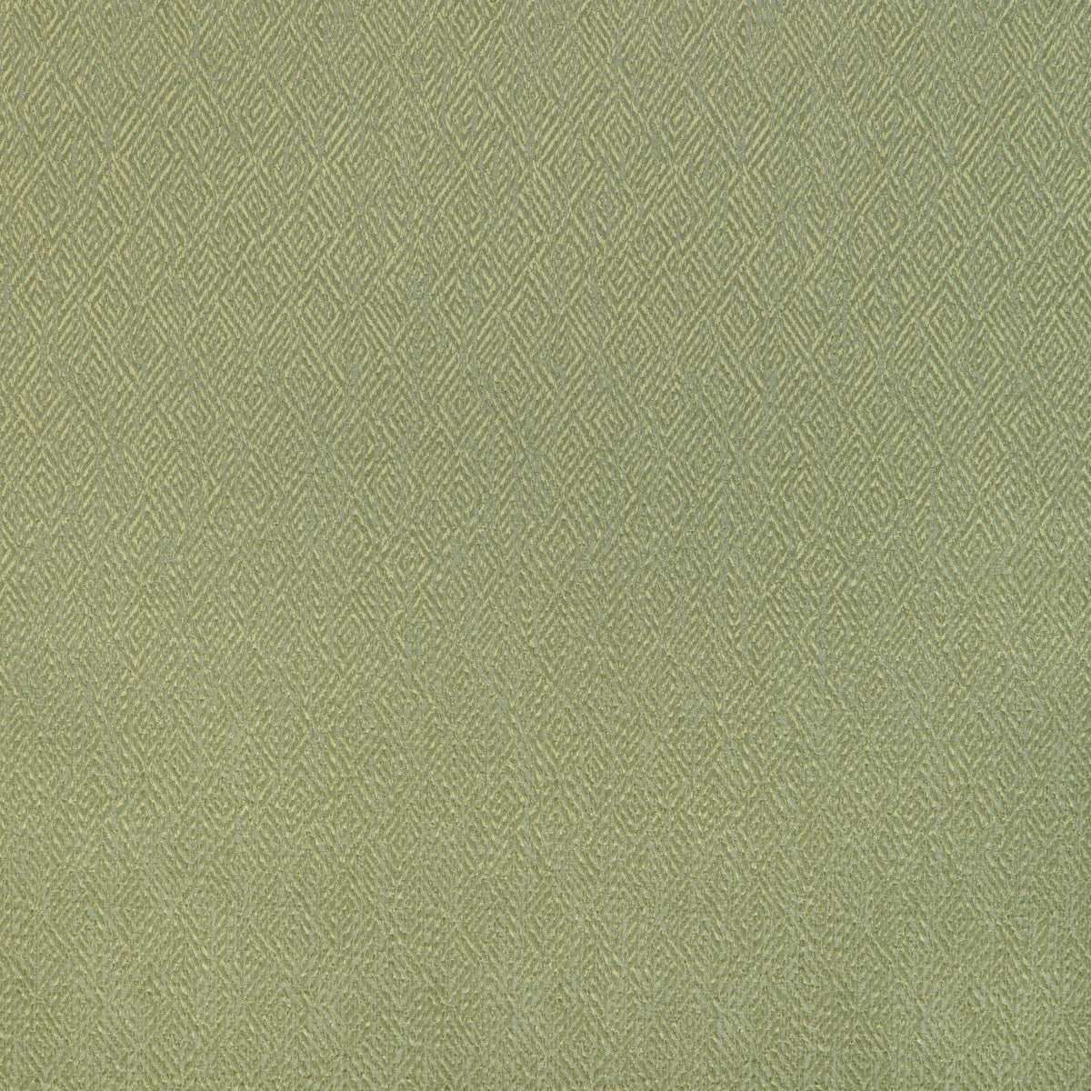 Pipet Texture Fabric by Brunschwig & Fils in Leaf