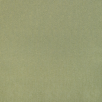 Pipet Texture Fabric by Brunschwig & Fils in Leaf
