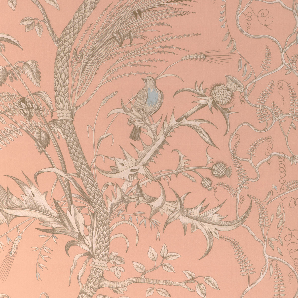 Bird And Thistle Ii Fabric by Brunschwig & Fils in Peach