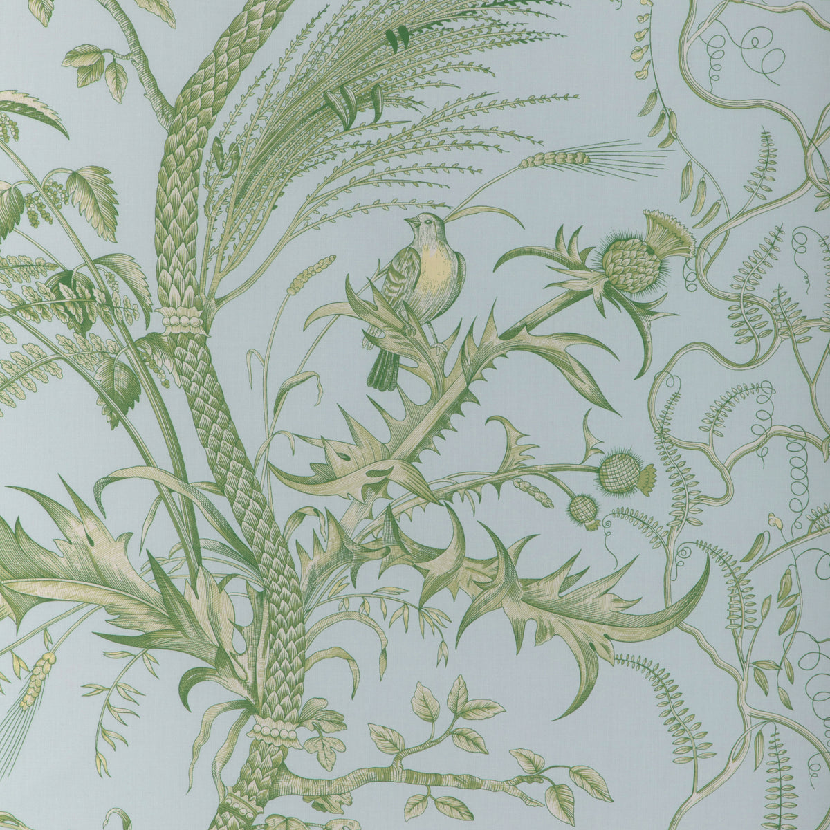 Bird And Thistle Ii Fabric by Brunschwig & Fils in Sky