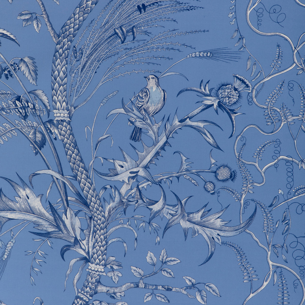 Bird And Thistle Ii Fabric by Brunschwig & Fils in Blue
