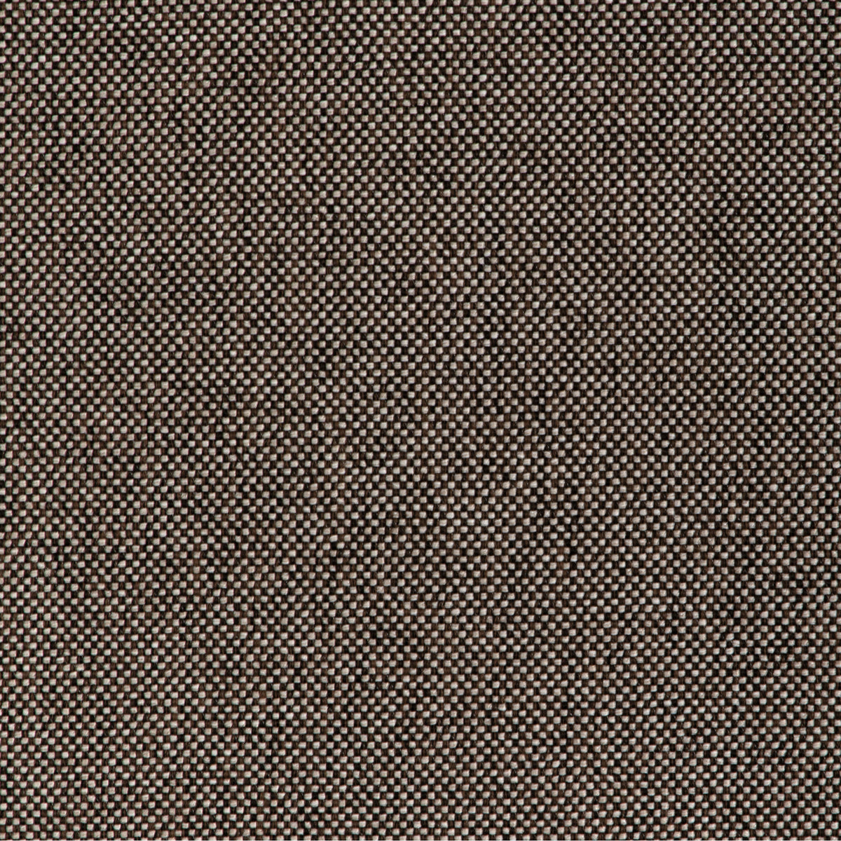 Les Canevas Plain Fabric by Brunschwig & Fils in Pumice