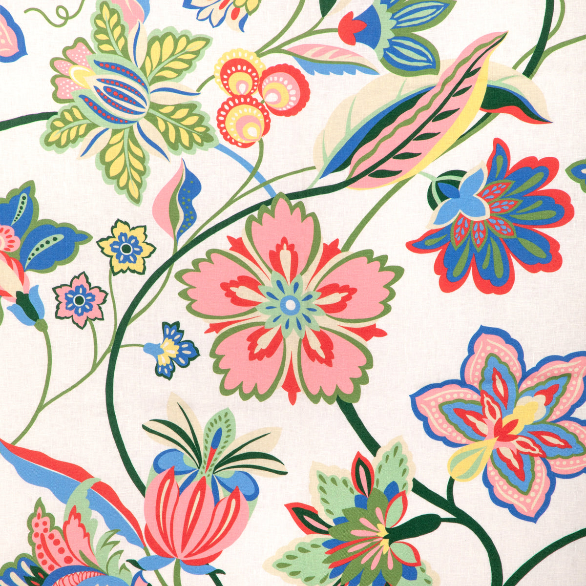 Botanique Print Fabric by Brunschwig & Fils in Multi