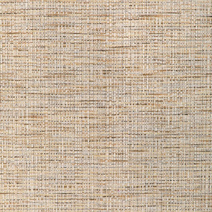 Marstrand Texture Fabric by Brunschwig & Fils in Beige