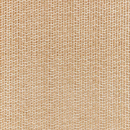 Templon Velvet Fabric by Brunschwig & Fils in Sand