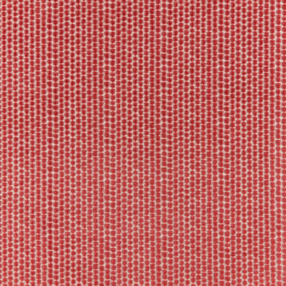 Templon Velvet Fabric by Brunschwig & Fils in Red