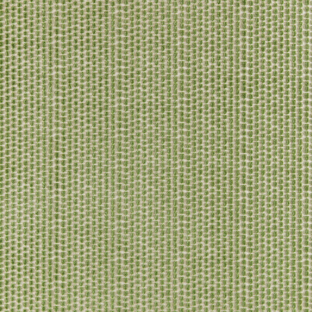 Templon Velvet Fabric by Brunschwig & Fils in Sage