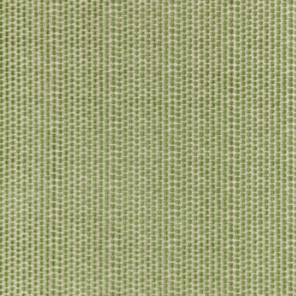 Templon Velvet Fabric by Brunschwig & Fils in Sage