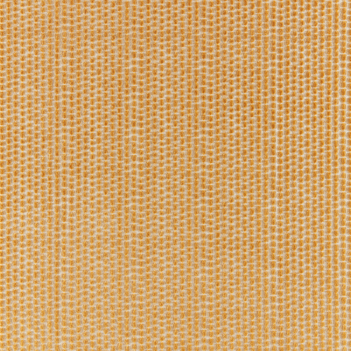 Templon Velvet Fabric by Brunschwig & Fils in Gold