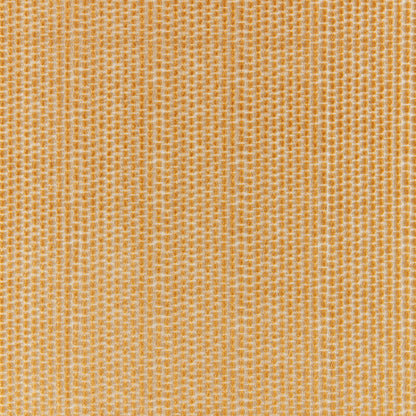 Templon Velvet Fabric by Brunschwig & Fils in Gold