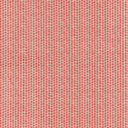 Templon Velvet Fabric by Brunschwig & Fils in Rose