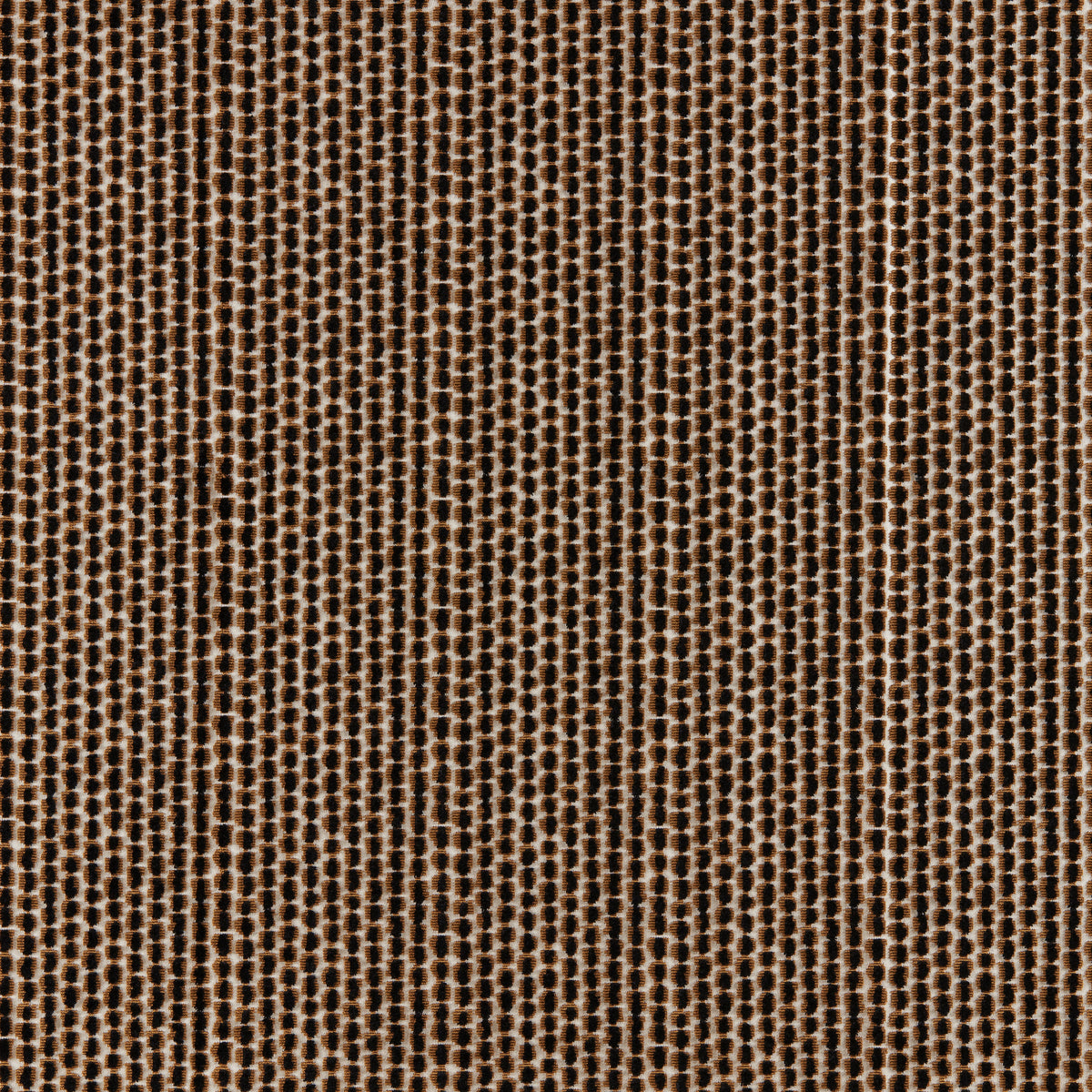 Templon Velvet Fabric by Brunschwig & Fils in Black/Brown