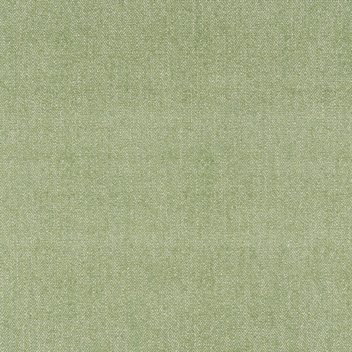 Allent Weave Fabric by Brunschwig & Fils in Leaf