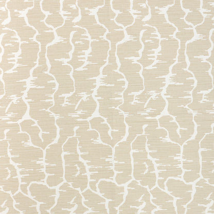 Leves Fabric by Brunschwig & Fils in Beige