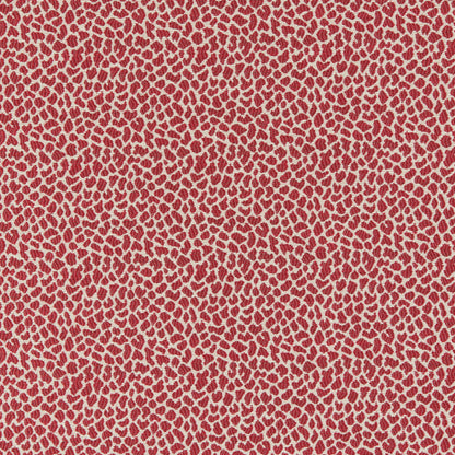 Lafayette Weave Fabric by Brunschwig & Fils in Red