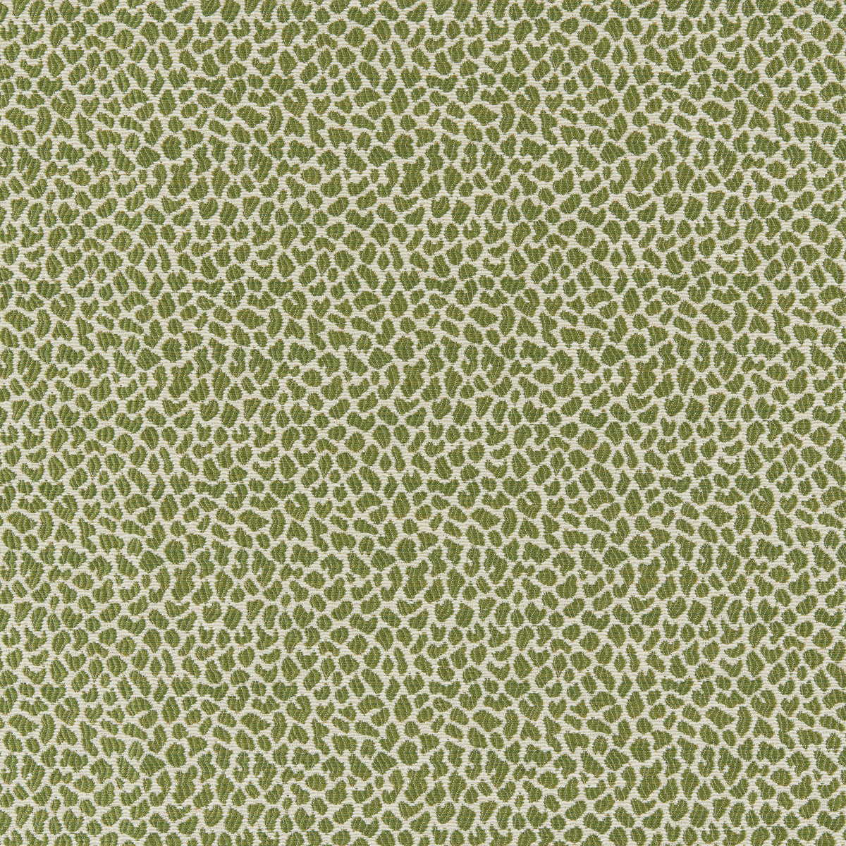 Lafayette Weave Fabric by Brunschwig & Fils in Leaf