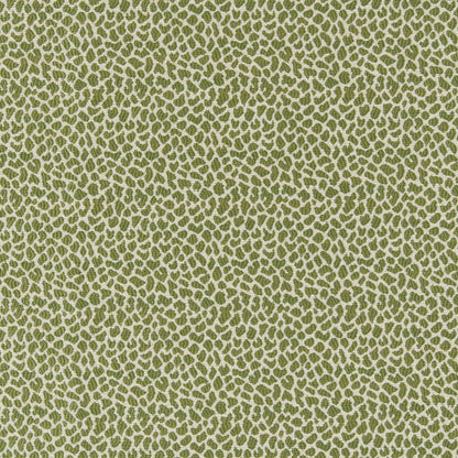 Lafayette Weave Fabric by Brunschwig & Fils in Leaf