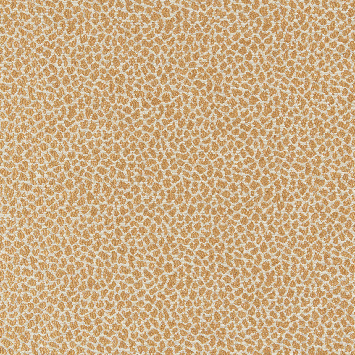 Lafayette Weave Fabric by Brunschwig & Fils in Gold