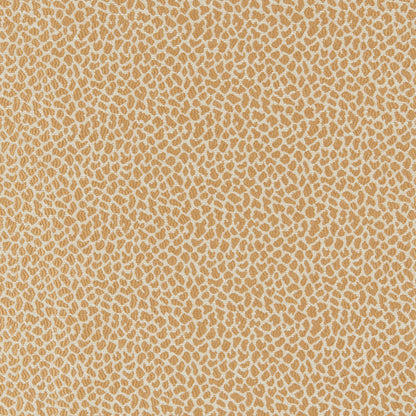 Lafayette Weave Fabric by Brunschwig & Fils in Gold