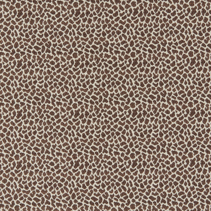 Lafayette Weave Fabric by Brunschwig & Fils in Brown