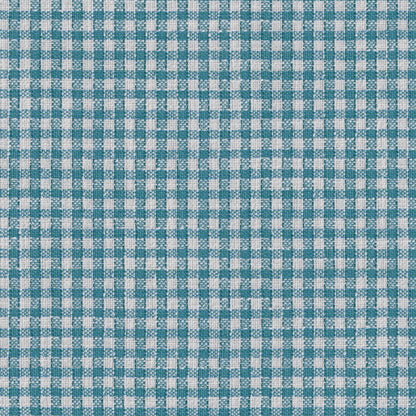 Vesonne Check Fabric by Brunschwig & Fils in Aqua