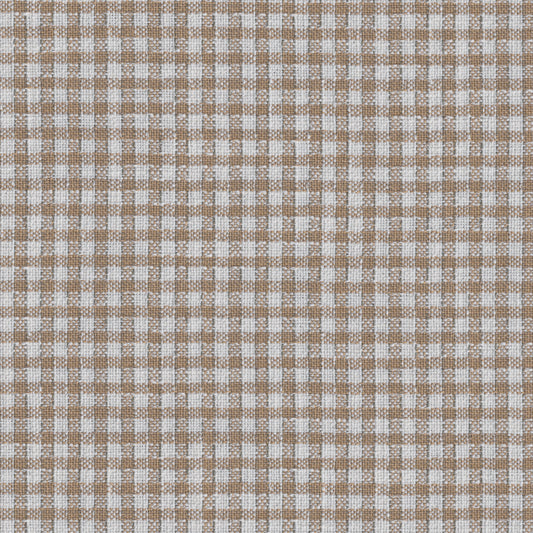 Vesonne Check Fabric by Brunschwig & Fils in Beige