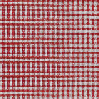 Vesonne Check Fabric by Brunschwig & Fils in Red