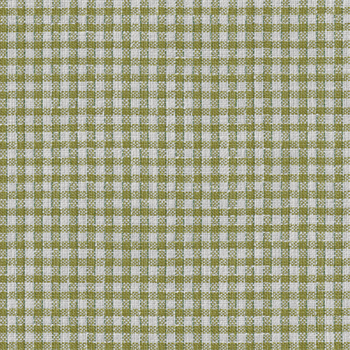 Vesonne Check Fabric by Brunschwig & Fils in Leaf