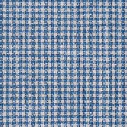 Vesonne Check Fabric by Brunschwig & Fils in Delft