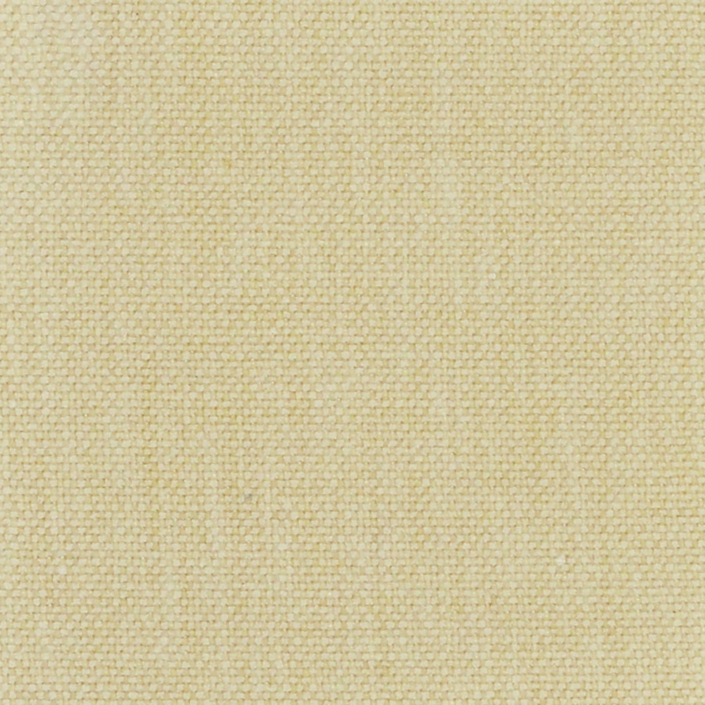 TRH2968 Fabric