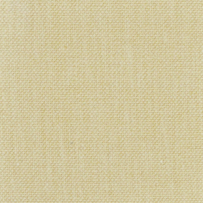 TRH2968 Fabric
