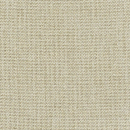 TRH2968 Fabric