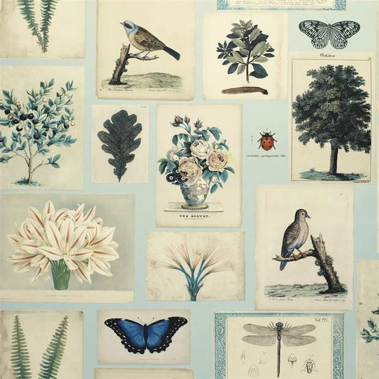 Flora and Fauna Wallpaper by John Derian in Cloud Blue