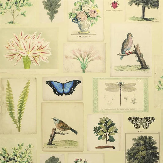 Flora and Fauna Wallpaper by John Derian in Parchment