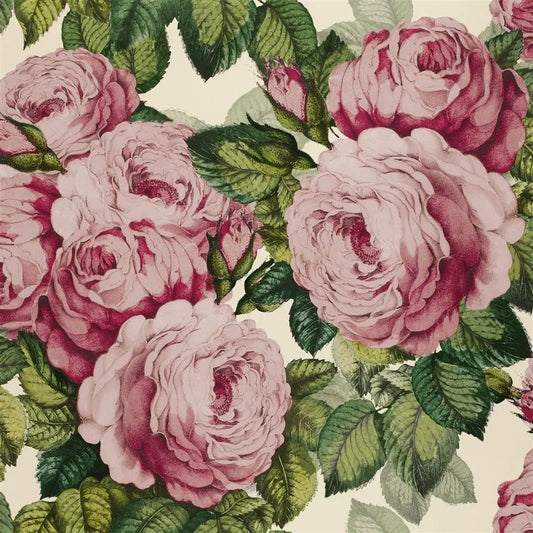 The Rose Wallpaper by John Derian in Tuberose